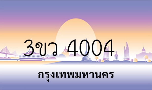 3ขว 4004